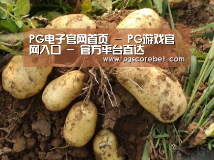种植基地六