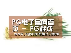 产品名称二