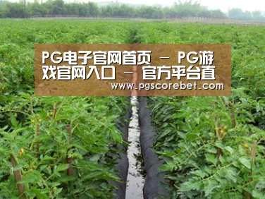 种植基地三