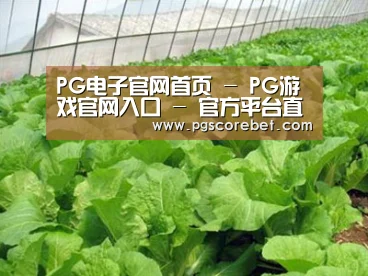 种植基地一