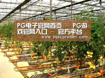 种植基地二(图1)